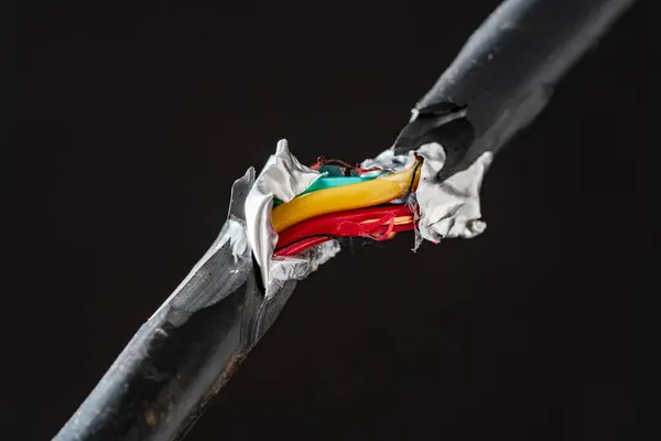 Primer Plano Cable Eléctrico Roto Con Cables Rojos Amarillos Eléctricos Fotos De Stock Sin Royalties Gratis