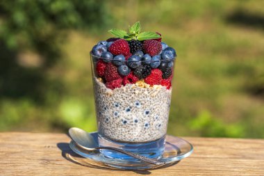 Doğal arka planda taze böğürtlenli bardaktaki sağlıklı chia pudingi, yakın çekim, kopyalama alanı. Ahududu, yaban mersini ve böğürtlenli hindistan cevizi sütüne bulanmış chia tohumu.
