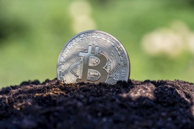 Doğanın arka planında altın Bitcoin madeni para, yakın çekim. Metal altın bitcoin şifreleme paraları bahçede. Elektronik merkeziyetçi para kavramı