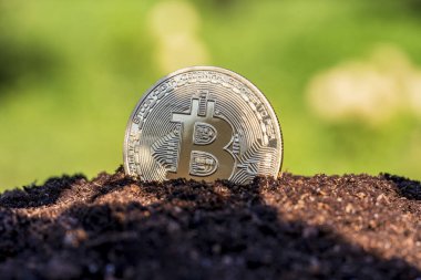 Doğanın arka planında altın Bitcoin madeni para, yakın çekim. Metal altın bitcoin şifreleme paraları bahçede. Elektronik merkeziyetçi para kavramı