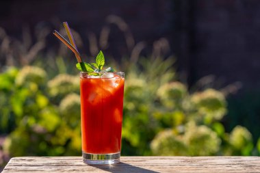 Buzlu Bloody Mary kokteyli ve doğal arka planda yeşil nane yaprakları. Güneşli bir günde, ahşap bir masada cam içinde kırmızı domates suyu. Kapatın.