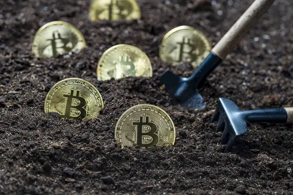 Toprağa altın bir bitcoin yerleştirmek, yakın plan. Sanal kripto para madenciliği kavramı. Metal altın bitcoin kripto para ve bahçe küreme aracı