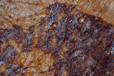 Kakao içeceklerinin yüzeyinde kalın köpük, yakın çekim, üst manzara. Arkaplan ve doku kakaolu süt köpüğü