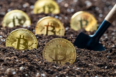 Toprağa altın bir bitcoin yerleştirmek, yakın plan. Sanal kripto para madenciliği kavramı. Metal altın bitcoin kripto para ve bahçe küreme aracı