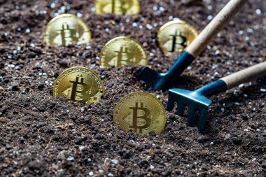 Toprağa altın bir bitcoin yerleştirmek, yakın plan. Sanal kripto para madenciliği kavramı. Metal altın bitcoin kripto para ve bahçe küreme aracı