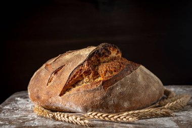 Koyu arkaplanda tahta kesme tahtasının üzerinde buğday kulaklı taze pişmiş ekşi ekmeğin yuvarlak somunu, kapat. Rustik ekşi ekmek. Evde sağlıklı ekşi ekmek pişirmek.