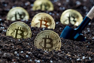 Toprağa altın bir bitcoin yerleştirmek, yakın plan. Sanal kripto para madenciliği kavramı. Metal altın bitcoin kripto para ve bahçe küreme aracı