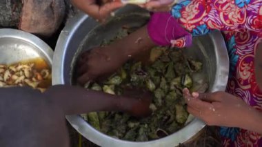 Genç Afrikalı kızlar, Tanzanya, Zanzibar, Doğu Afrika 'daki evin yakınındaki sokakta deniz kabuklarından midye topluyor.