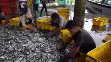 Kota Kinabalu, Malezya - 18 Şubat 2020: Malezyalı işçiler, Kota Kinabalu, Sabah, Malezya 'daki sokak Filipinleri pazarında deniz balığı ve mürekkep balıklarından yakalanan plastik konteynırlara yeni yakalandılar