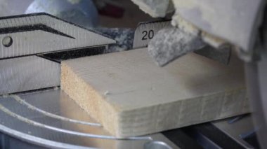 Tahta bir tahtanın kenarını kesmek için testere bıçağı, yakın çekim. Bir atölyede dairesel testere üzerinde çalışıyorum.