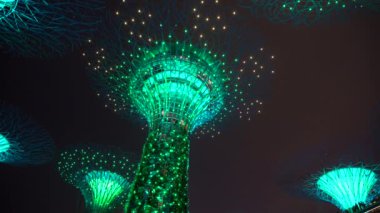 SINGAPORE ŞEHRİ - 28 Mart 2019: marina körfezi yakınlarındaki Gardens 'ta süper ağaçlar, Singapur, Güneydoğu Asya' da gece aydınlandı. Körfez kıyısında bir bahçe Singapur şehir merkezinde bir doğa parkı.