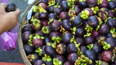 Vietnamlı bir adam, Vietnam 'daki Hoi An kasabasındaki bir markette bir çantadaki sepetten olgun mangosyenleri topluyor.