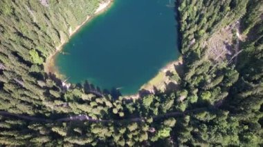 Yoğun kozalaklı ve kayın ormanlarıyla çevrili dağ gölü manzarası. Karadağ, Avrupa. Karadağ 'da ona Zabojsko Jezero diyorlar ve 1481 metre yüksekliğe sahip.