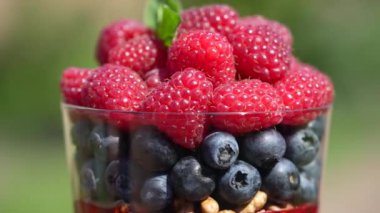 Taze böğürtlen, fındık ve chia tohumlarıyla dolu bir bardakta sağlıklı puding, kapanış, dönüşüm. Kahvaltı için ahududu ve yaban mersini. 