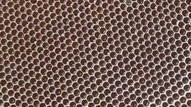 Closeup of a honeycomb with honey, rotates. Background texture and pattern of a section of wax honeycomb from a bee hive filled with honey