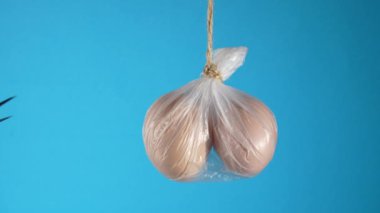 Doktor, mavi arkaplanda plastik bir çantada iki yumurta tutan ipi kesmek için makas kullanıyor. Vazektomi ve erkek sağlığı kavramı. Erkek testis sağlığı hakkında fikir