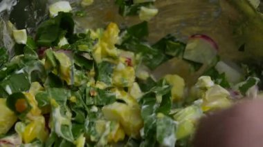 Şef, yeşil pırasa, haşlanmış yumurta, salatalık, turp, haşlanmış patates ve ekşi kremadan oluşan sağlıklı bir salata hazırlıyor. Haşlanmış yumurtalı yabani sarımsaklı salata.