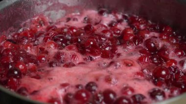 Kızılcık reçeli yapmak için olgun toplanmış kırmızı böğürtlen ve şeker, yakın çekim. Tencerede ev yapımı yaban mersini reçeli pişirmek. Reçel için böğürtlen haşlama
