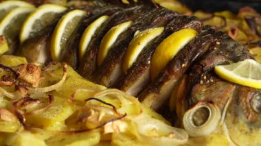 Fırınlanmış sazan balığı, patates dilimleri, soğan, limon ve baharat bir tepside, yakın çekim.