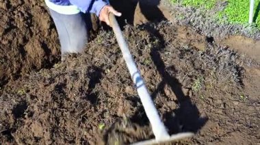 Hoi An, Vietnam yakınlarındaki bir vejetaryen köyünde çalışan yaşlı Vietnamlı bir adamın kirli ayaklarını ve çapasını kapat.