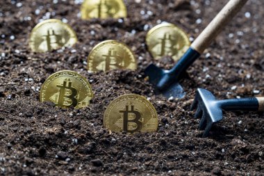 Toprağa altın bir bitcoin yerleştirmek, yakın plan. Sanal kripto para madenciliği kavramı. Metal altın bitcoin kripto para ve bahçe küreme aracı