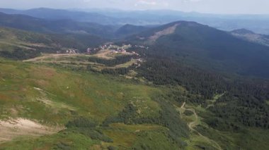 Green forest with fir trees and a meadow near mountain village Dragobrat, Western Ukraine, Europe. Beautiful nature of the Carpathian mountains on a sunny day in summer. Aerial drone shot landscape