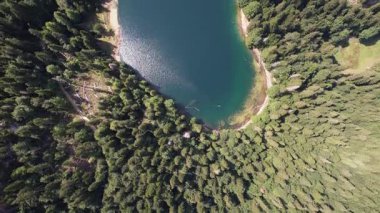 Yoğun kozalaklı ve kayın ormanlarıyla çevrili dağ gölü manzarası. Karadağ, Avrupa. Karadağ 'da ona Zabojsko Jezero diyorlar ve 1481 metre yüksekliğe sahip.