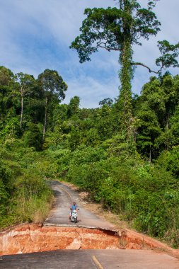 Tayland 'daki Koh Chang adasında, ormanda asfalt yolda motosikletli bir adam. Şiddetli yağıştan sonra büyük bir heyelan meydana geldi. Şiddetli yağmur heyelana yol açtı