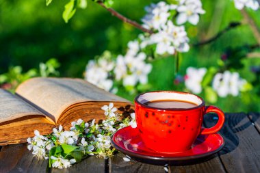 Beyaz kiraz çiçekleri ve eski kitapla ahşap masada kırmızı kahve fincanı sabah bahçenin arka planına karşı, kapat. Yumuşak romantik bir ortam, bahar mevsiminde kahve partisi.