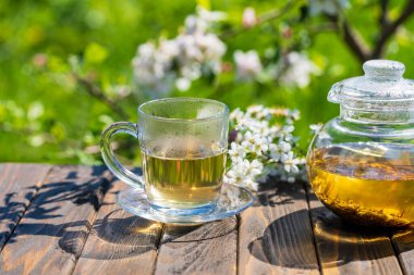 Cam bardak sıcak çay, ahşap bir masanın üzerinde, bahar bahçesinin arka planında beyaz kiraz çiçekleri, kapat. Yumuşak bir romantik görünümün atmosferi, bahar mevsiminde çay partisi