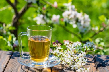 Cam bardak sıcak çay, ahşap bir masanın üzerinde, bahar bahçesinin arka planında beyaz kiraz çiçekleri, kapat. Yumuşak bir romantik görünümün atmosferi, bahar mevsiminde çay partisi