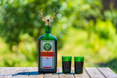 Kyiv, Ukrayna - 3 Temmuz 2025: Jagermeister bitkisi likörü cam yeşil şişede, bir geyik kafası şeklinde durdurucu ve yaz bahçesi arka planında iki yeşil cam bardak