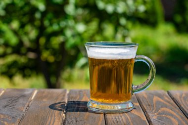 Yaz bahçesi arka planına karşı ahşap masada bir bardak dolusu taze soğuk bira, yakın plan, kopyalama alanı. Güneşli bir günde rahatlamak için ferahlatıcı alkollü içecek.