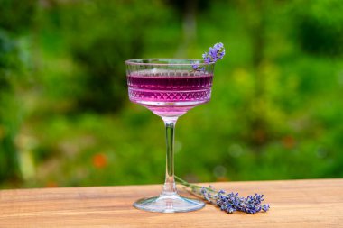 Yeşil bir yaz bahçesine karşı ahşap masada zarif kristal bardakta servis edilen parlak kokteyl ya da limonata. Eflatun çiçekli mor renkli içecek, yakın plan.
