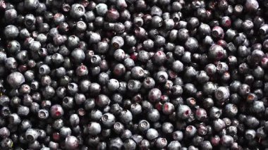 Yüzey yaban mersinli yaban mersini katmanıyla kaplı. Yaklaş. Yaz ormanı meyvesi, dönüşümlü