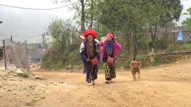 Sapa, Vietnam - Mart 03, 2020: Sapa bölgesindeki dağ köyünde geleneksel giysili iki etnik hmong kadını,