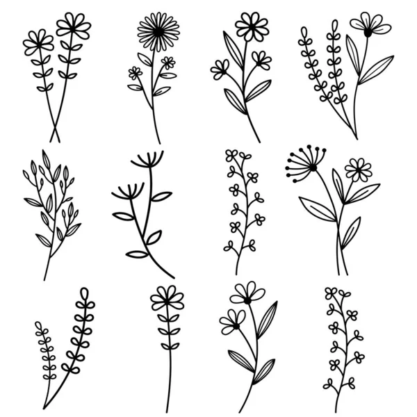 Çiçek Seti Geometrik Şekiller Bitkileri Çizimi Çiçek Karalamaları Tropikal Çiçek — Stok fotoğraf