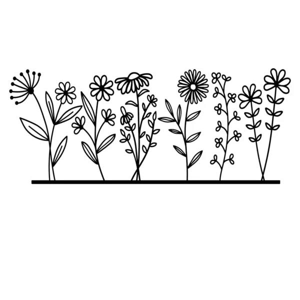 Egy Csokor Virág Geometriai Formák Házi Növények Kézzel Rajzolt Virág — Stock Fotó