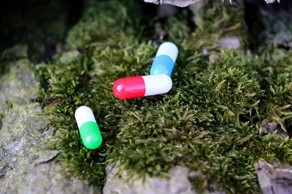 close up of three different colorful capsules are lying on green fresh moss on a stone