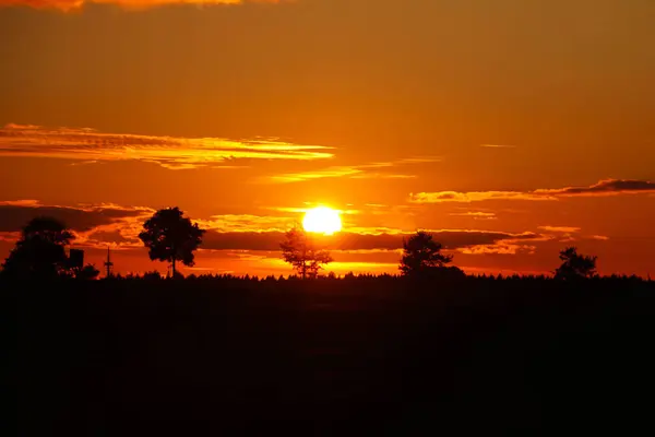 Schöner Bunter Sonnenuntergang Mit Bäumen Und Wolken — Stockfoto