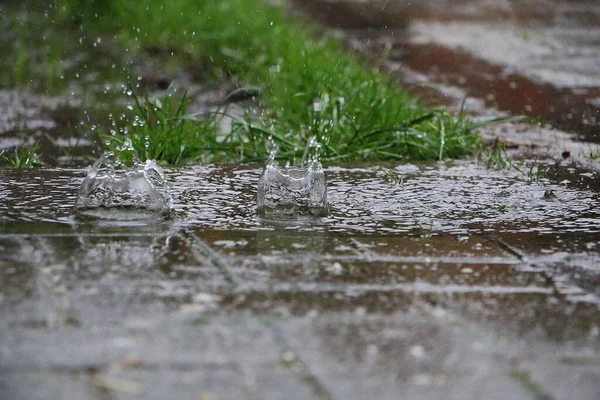 Pluie Dure Tombe Éclaboussures Sur Asphalte Dans Jardin — Photo