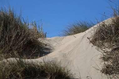 Kumsalda kumlu kum tepecikleri ve mavi gökyüzü var.