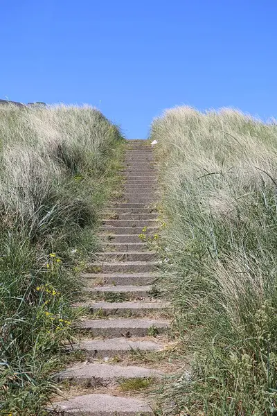 Soluk merdivenler kum tepeciğine inşa edilir ve izleme platformuna çıkar.