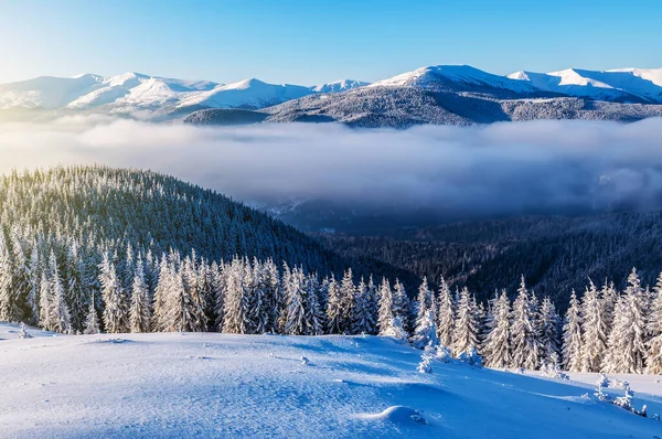 カルパチア山脈の霧深い冬の風景のパノラマ — ストック写真
