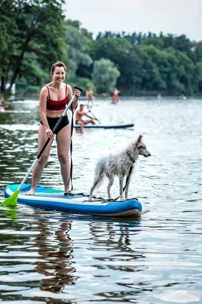 Sportive girl paddling on sup board with her dog. Summer vacation theme