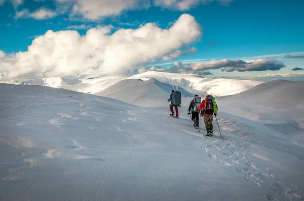 stock image Three tourists with backpack hiking in winter Carpathian mountains