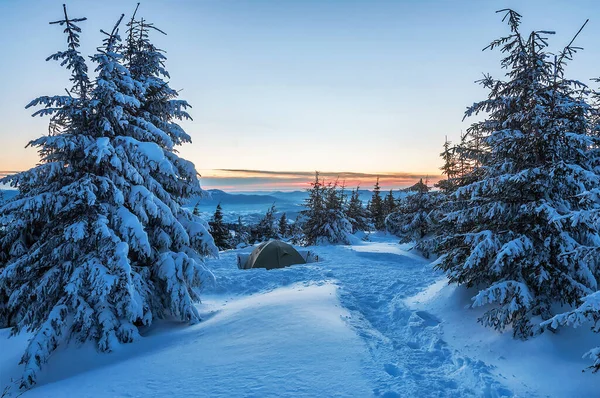 日出或日落时 雪覆盖喀尔巴阡山的旅游帐篷 — 图库照片
