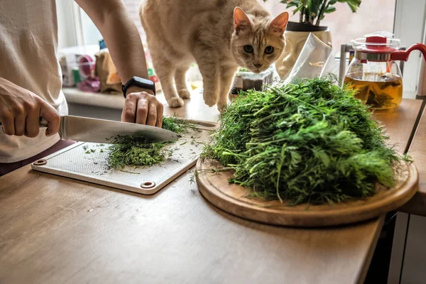 Жінка Ріже Зелений Кріп Кухонному Столі Поки Кішка Дивиться — стокове фото