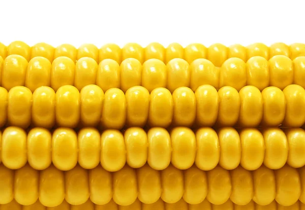 Érett Sárga Kukorica Cob Fehér Háttér — Stock Fotó