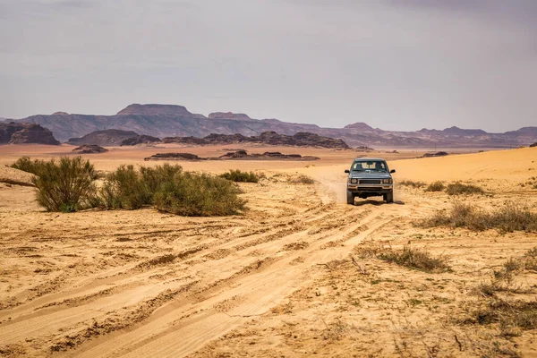 Oude Road Auto Woestijn Safari Expeditie — Stockfoto